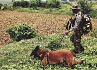 पांच बम बरामद करके सीआरपीएफ के तेज़ तर्रार कैरो ने नक्सलियों को पटकनी दी केन्द्रीय रिज़र्व पुलिस बल