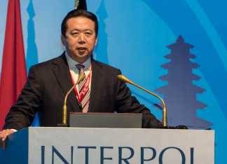 इंटरपोल के नये अध्यक्ष का चुनाव नवम्बर में दुबई में होगा इंटरपोल