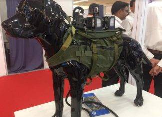 खतरे के बीच पीठ पर कैमरे बांधकर जाते हैं ये कुत्ते