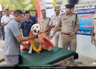 Retirement of sniffer Tara: Heart touching moments in Adilabad