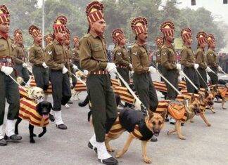 ਜਦੋਂ ਭਾਰਤੀ ਫੌਜ ਨੇ ਸਨਿਫਰ ਡੋਗ ਟੀਨਾ ਨੂੰ ਸਨਮਾਨਿਤ ਕੀਤਾ